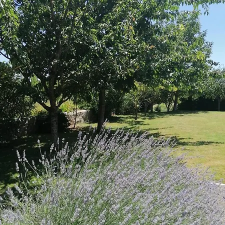 Domaine Des Deux Rivieres - - Holiday home